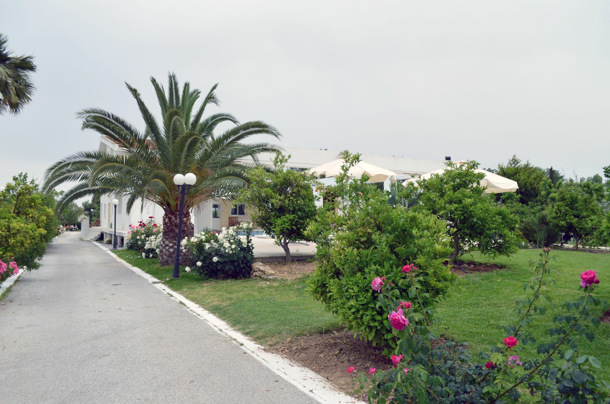 Olive Mansion Suites Marathón Exterior foto